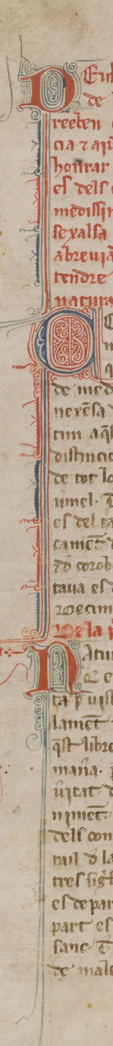 14- DM B95 (= 3.1), f. 2r.JPG